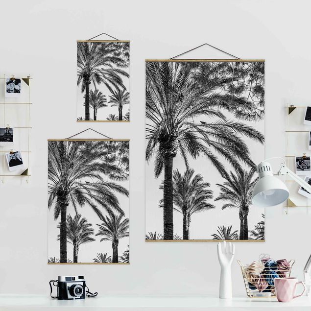 quadros em preto e branco Palm Trees At Sunset Black And White