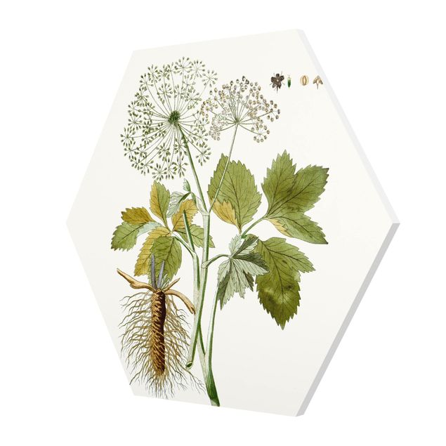 decoração quadros Wild Herbs Board IV