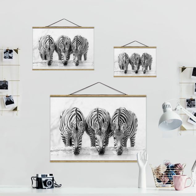 quadros preto e branco para decoração Zebra Trio In Black And White