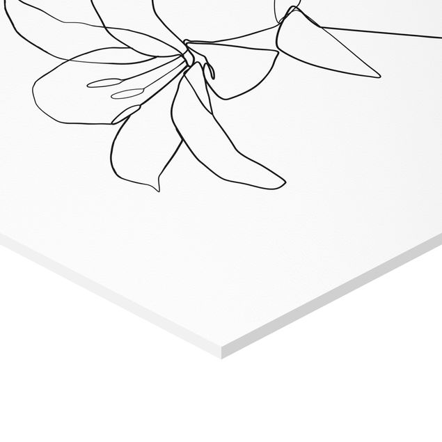 Quadros forex Line Art Flowers Black White Set