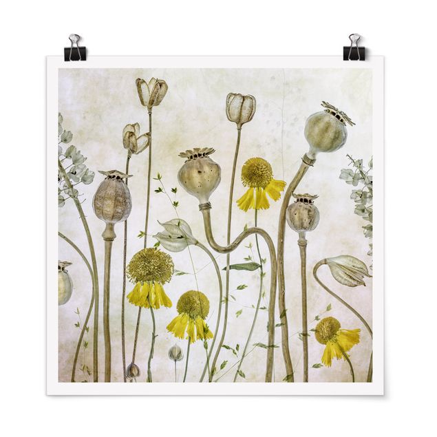 Posters flores Poppy And Helenium