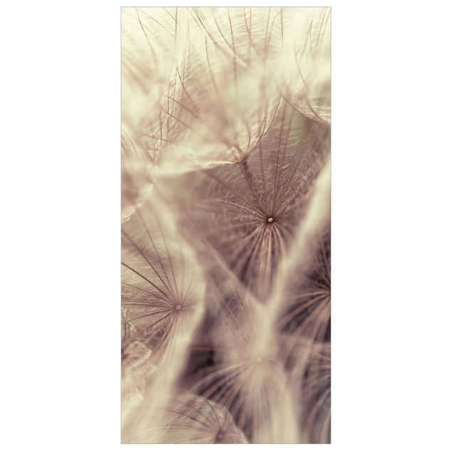 Divisórias de ambiente Detailed Dandelion Macro Shot With Vintage Blur Effect