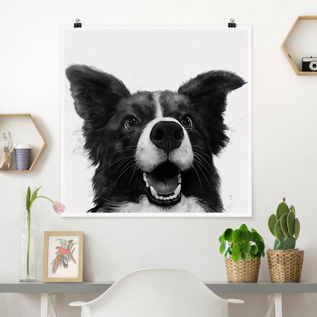 decoraçoes cozinha Illustration Dog Border Collie Black And White Painting