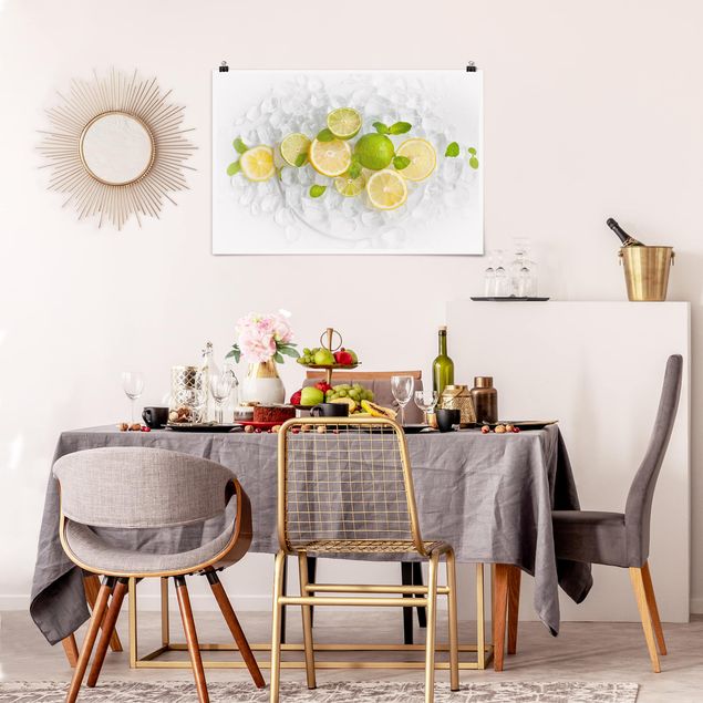 quadros decorativos para sala modernos Citrus Fruit On Ice Cubes