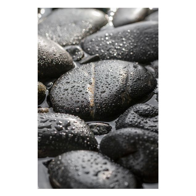 Quadros magnéticos imitação pedra Black Stones In Water