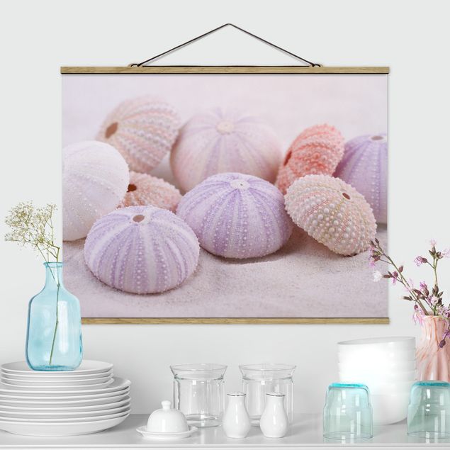 decoraçao para parede de cozinha Sea Urchin In Pastel