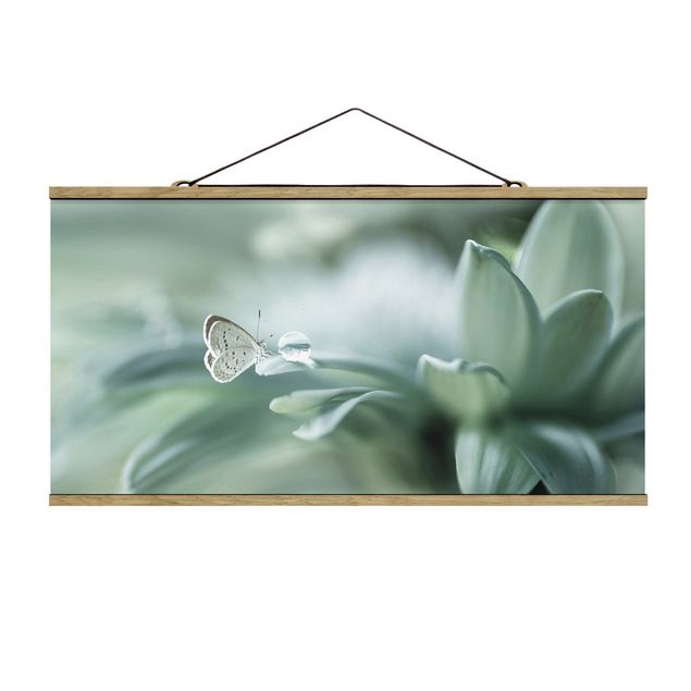 quadro com flores Butterfly And Dew Drops In Pastel Green