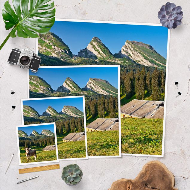Posters paisagens Swiss Alpine Meadow With Cow