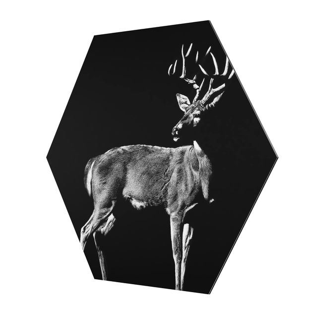 quadros para parede Deer In The Dark