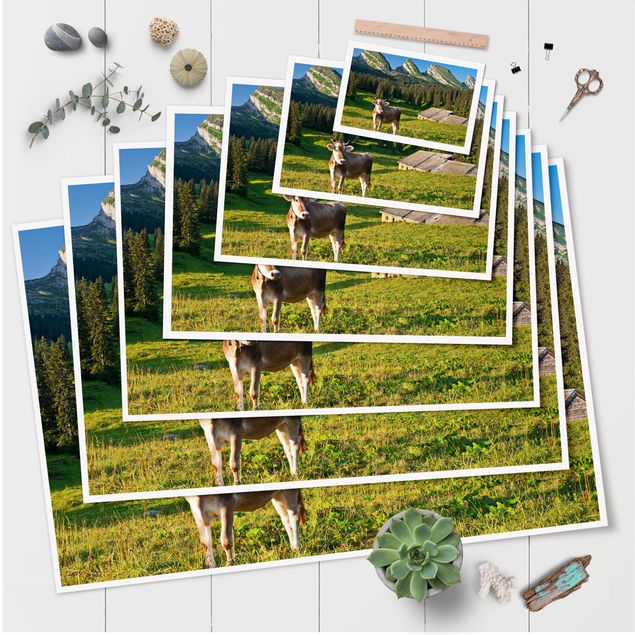 Quadros natureza Swiss Alpine Meadow With Cow