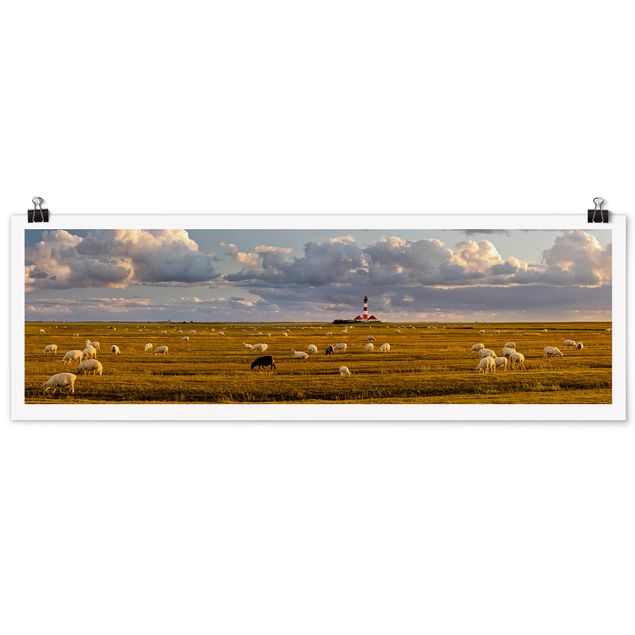 Posters animais North Sea Lighthouse With Flock Of Sheep