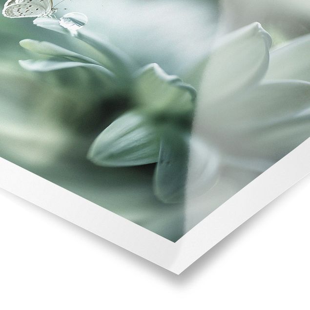 quadro decorativo verde Butterfly And Dew Drops In Pastel Green
