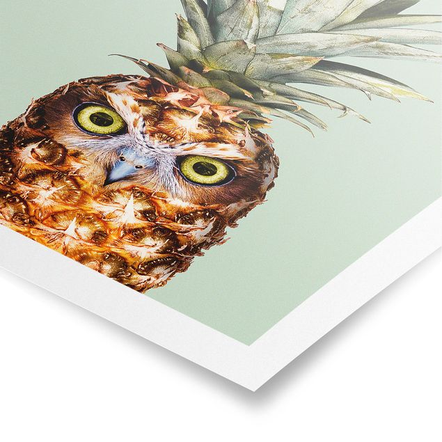 quadros decorativos verde Pineapple With Owl