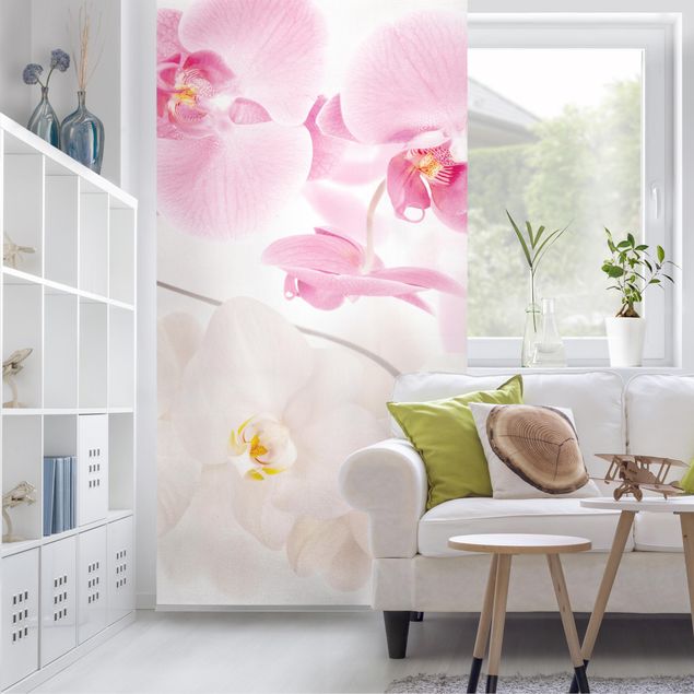 divisórias de espaços interiores Delicate Orchids