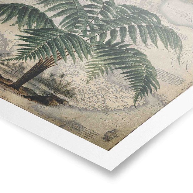 Posters flores Vintage Collage - Palm And World Map