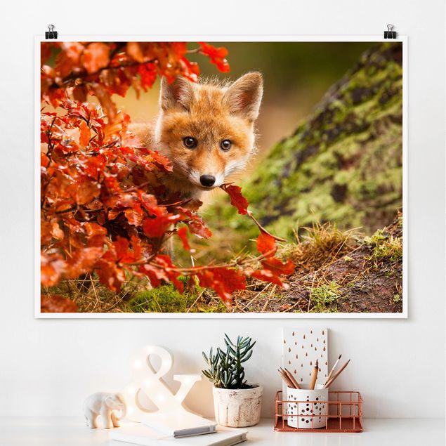 decoraçao para parede de cozinha Fox In Autumn