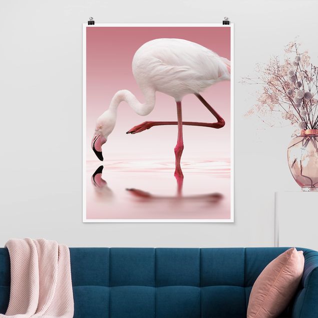 decoraçoes cozinha Flamingo Dance