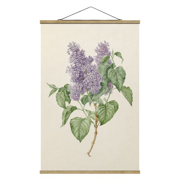 quadros de flores Maria Geertruyd Barber-Snabilie - Lilac