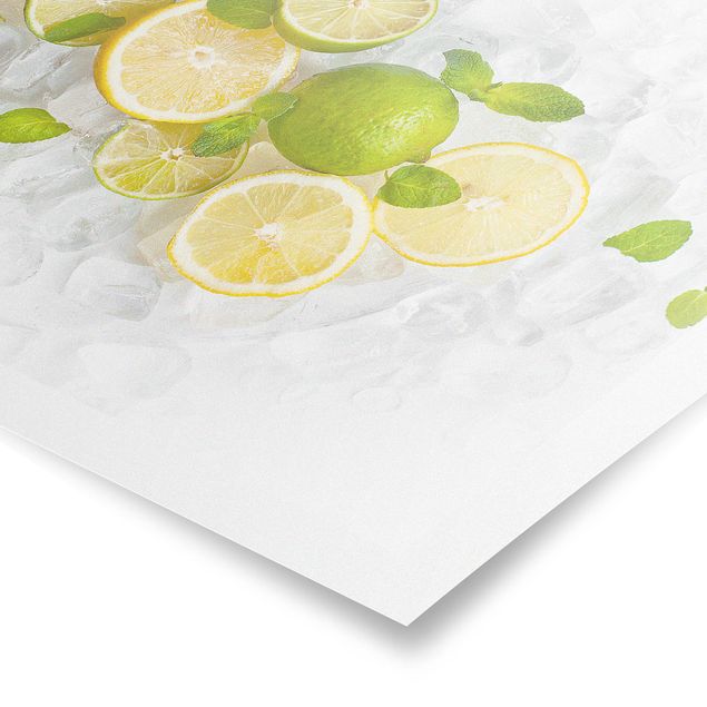 posters decorativos Citrus Fruit On Ice Cubes