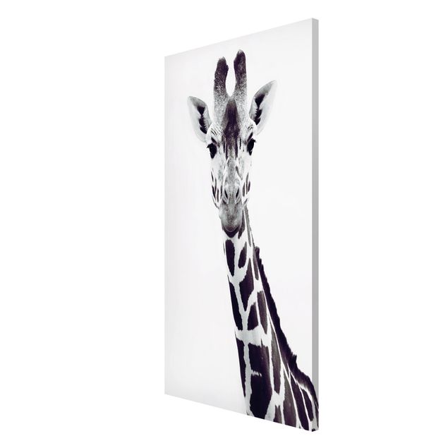 Quadros magnéticos animais Giraffe Portrait In Black And White