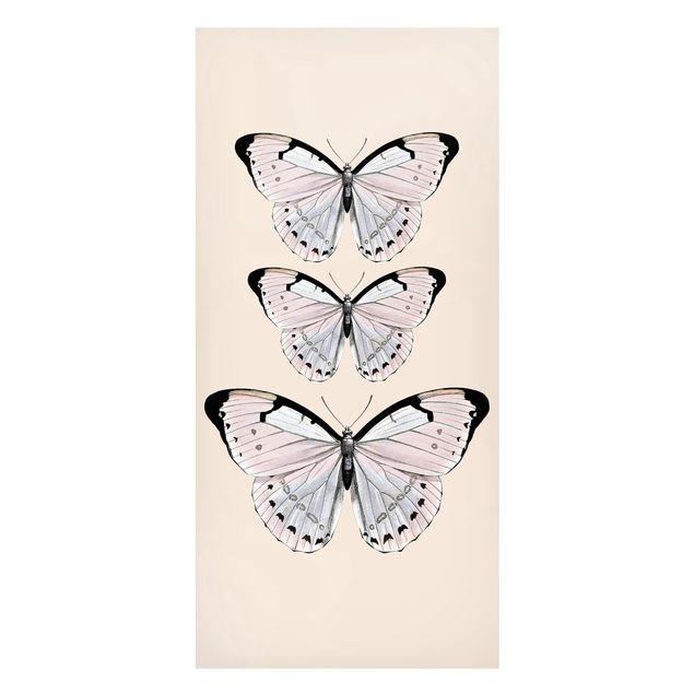 quadro com borboleta Butterfly On Beige