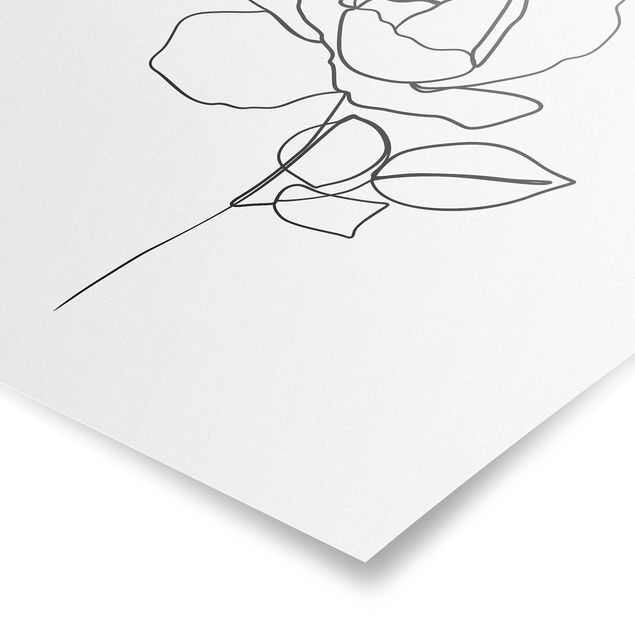 Quadros florais Line Art Rose Black White
