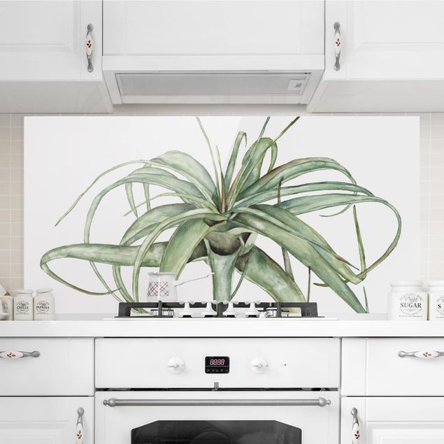 decoraçao para parede de cozinha Air Plant Watercolor I