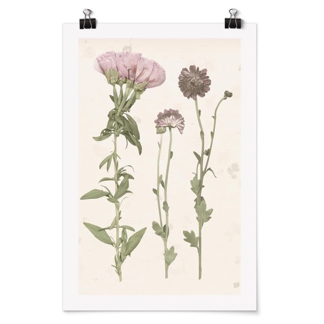 quadros de flores Herbarium In Pink III