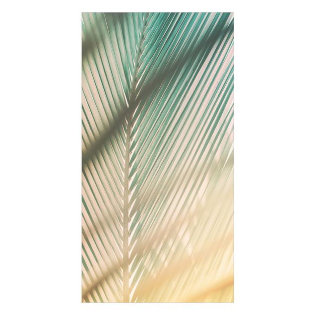 Revestimento de parede para duche Tropical Plants Palm Trees At Sunset ll