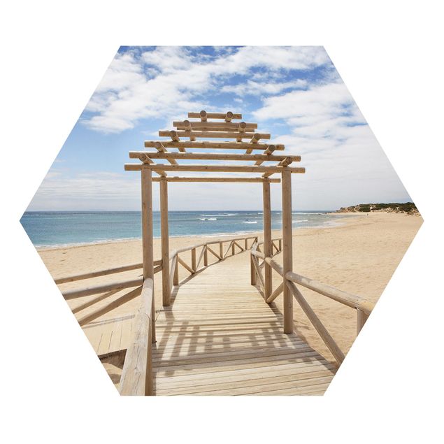 quadros 3d efeito tridimensional Beach Path To The Sea In Andalusia