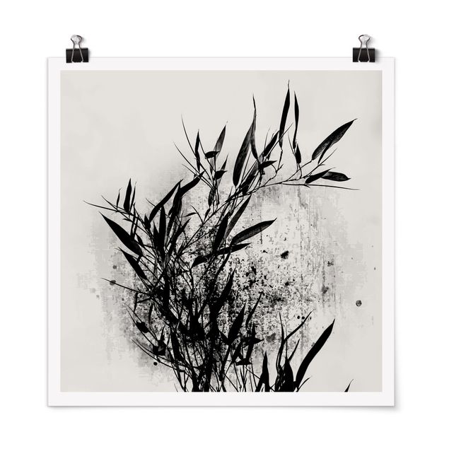 quadro com paisagens Graphical Plant World - Black Bamboo