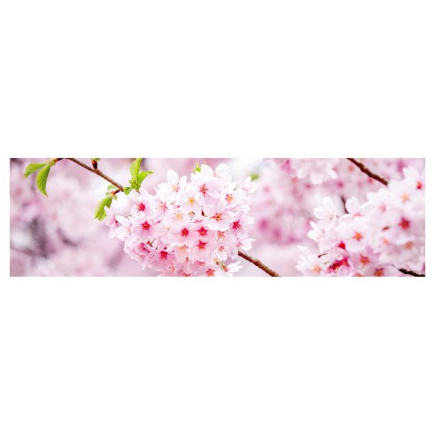 backsplash cozinha Japanese Cherry Blossoms