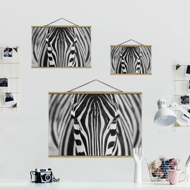 quadros preto e branco para decoração Zebra Look