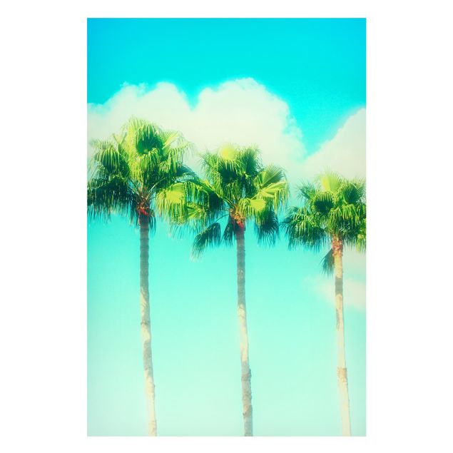 quadro com paisagens Palm Trees Against Blue Sky