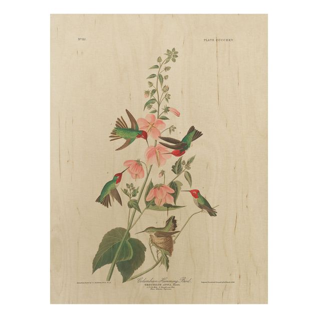 Quadros em madeira flores Vintage Board Colombian Hummingbird