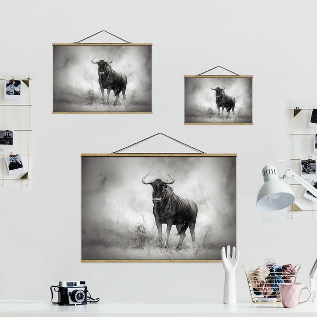 quadros para parede Staring Wildebeest