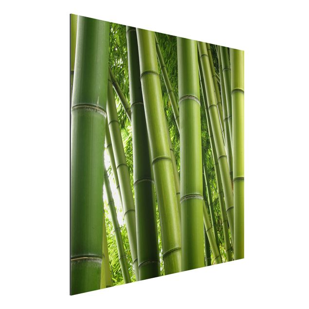 decoraçoes cozinha Bamboo Trees No.1