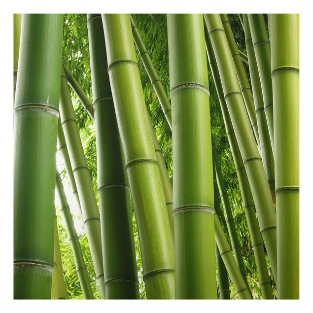 Quadros árvores Bamboo Trees No.1