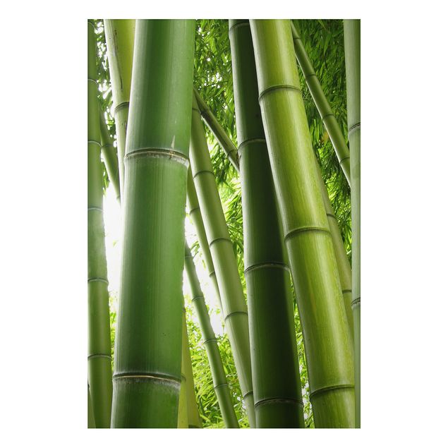 Quadros árvores Bamboo Trees No.1