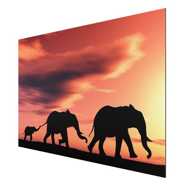 quadros de paisagens Savannah Elephant Family