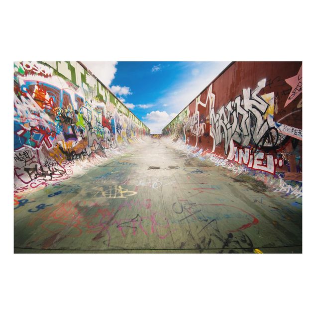quadros 3d efeito tridimensional Skate Graffiti