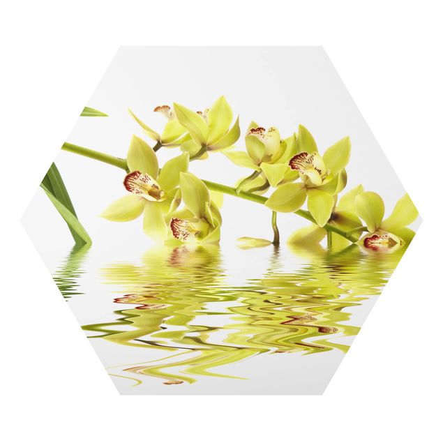 quadros decorativos para sala modernos Elegant Orchid Waters