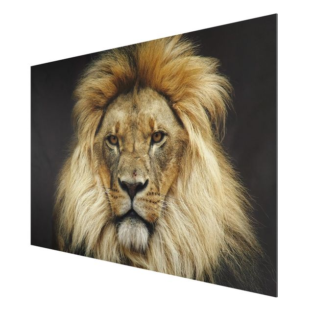 quadros modernos para quarto de casal Wisdom Of Lion