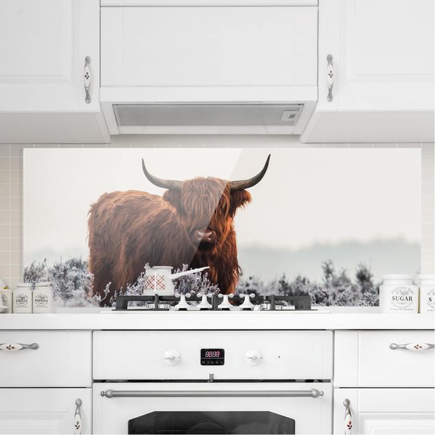 decoraçoes cozinha Bison In The Highlands