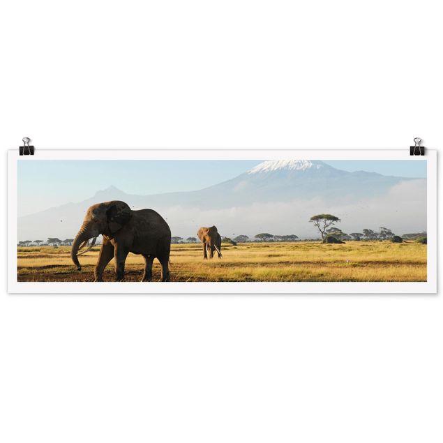 quadros de paisagens Elephants In Front Of The Kilimanjaro In Kenya