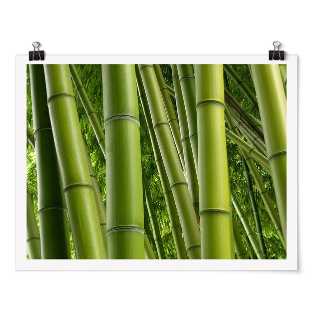 Posters flores Bamboo Trees No.2