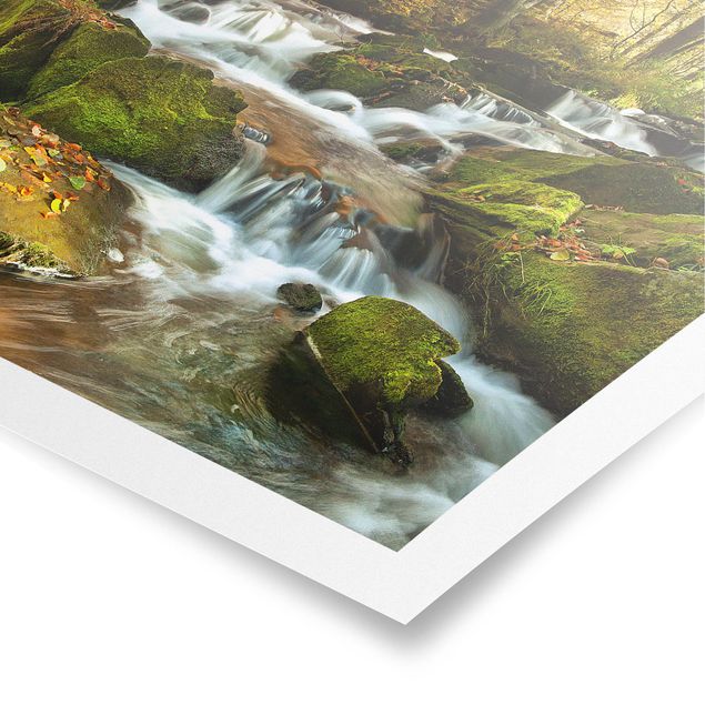 Posters paisagens Waterfall Autumnal Forest
