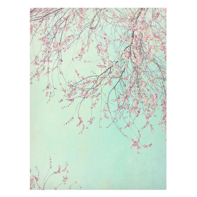 Quadros magnéticos flores Cherry Blossom Yearning