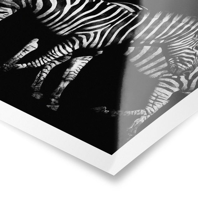 quadros decorativos para sala modernos Zebra In The Dark