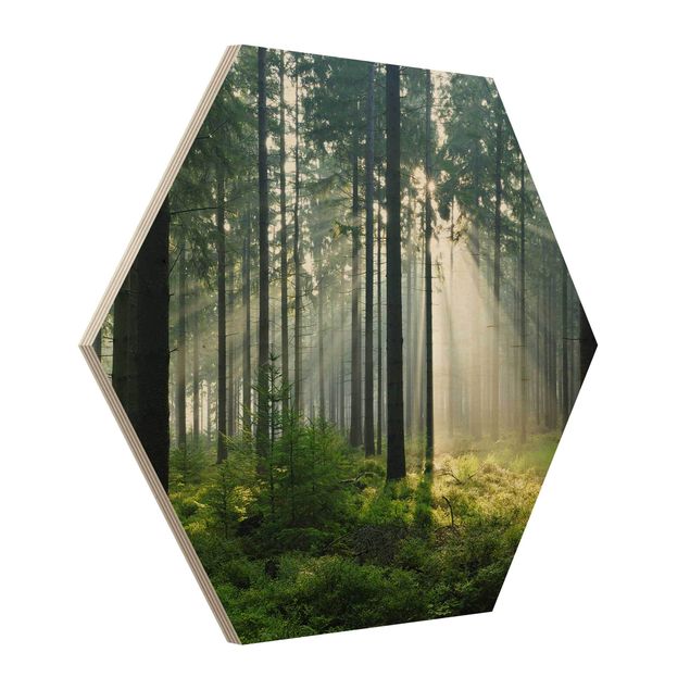 Quadros em madeira Enlightened Forest